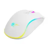 HAVIT MS1034
