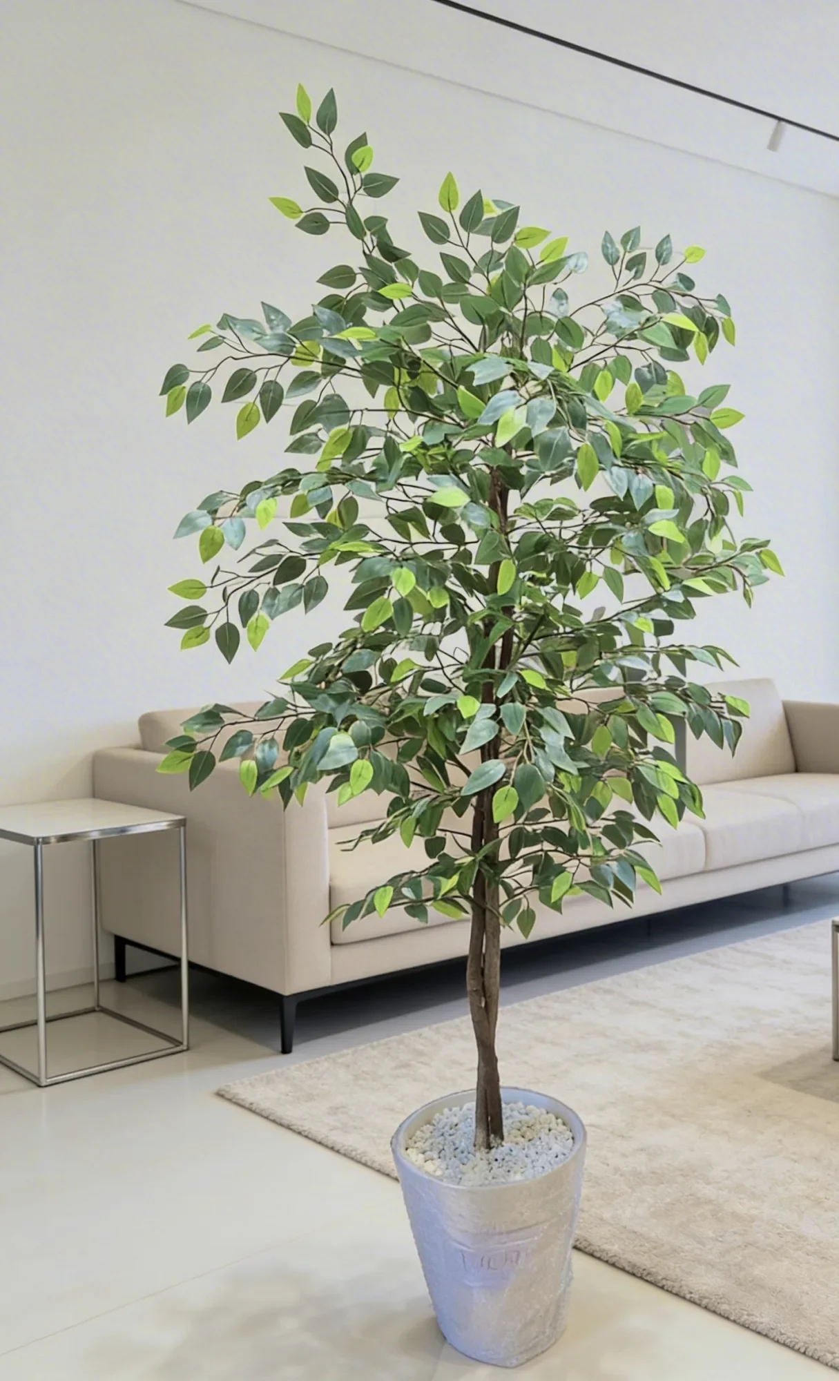 Ficus artificielle 180 cm - شجرة فيكوس اصطناعية