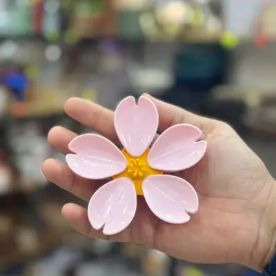 Décoration pour frigo et pince Sakura