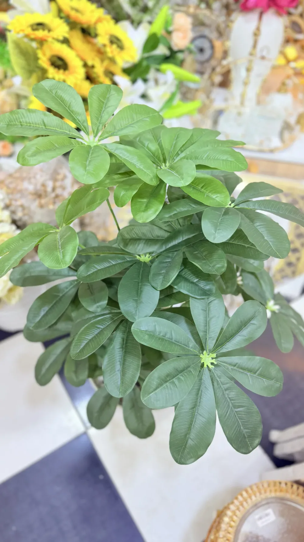 Chiflira Plante artificielle