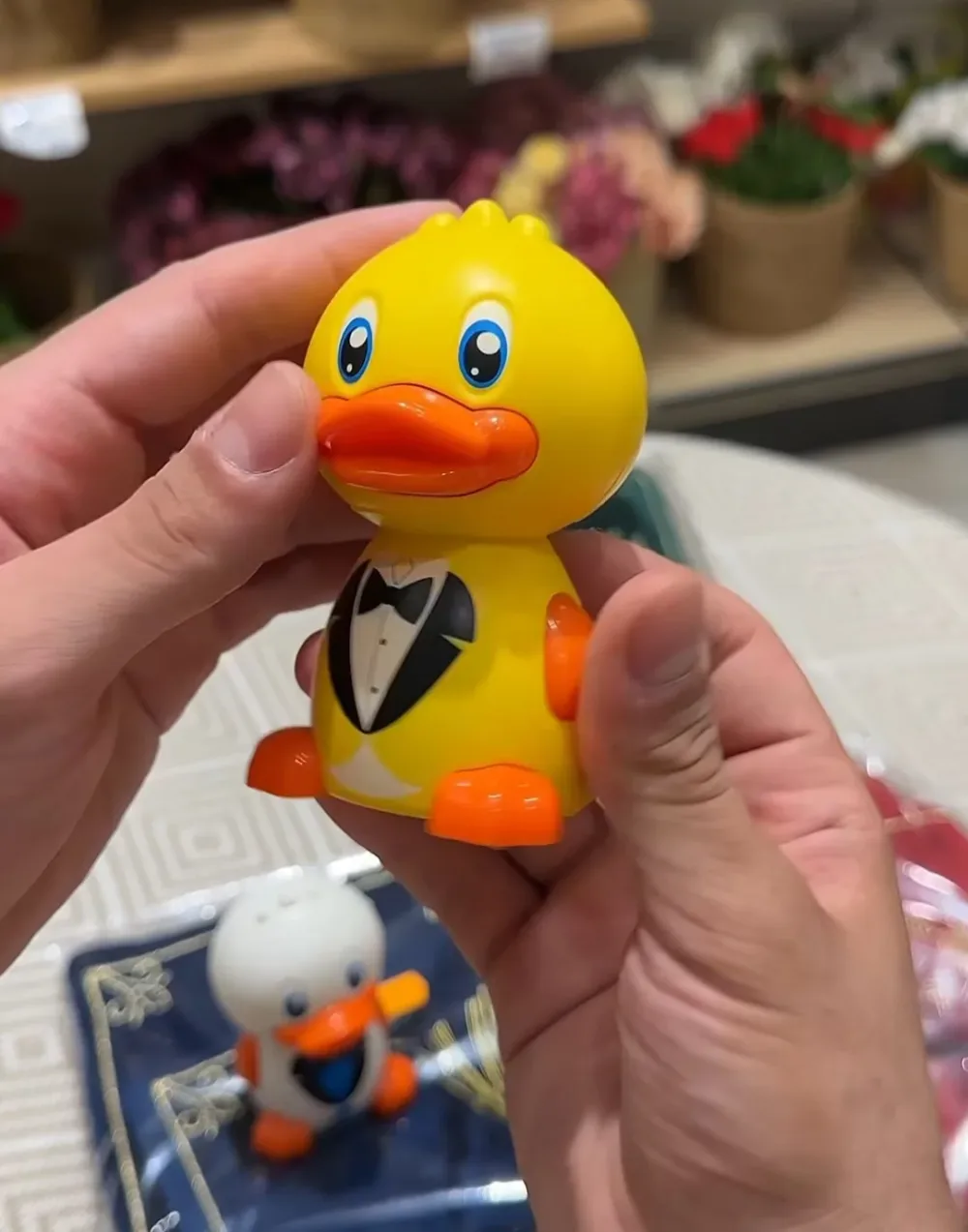 Canard Marcheur en Smoking – Duo Blanc & Jaune
