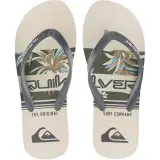 Tong QuikSilver  Java Flipflop Beige