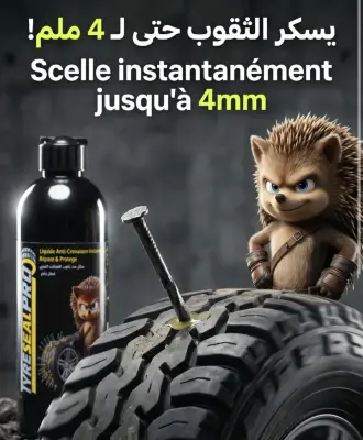 TYRE SEAL PRO