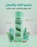 Viola شامبو للشعر الدهني 350مل