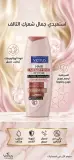 Venus شامبو 250مل