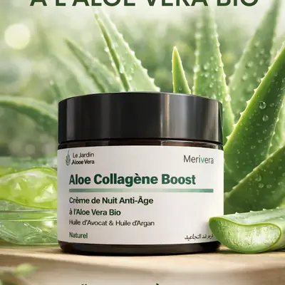 Crème de nuit anti-âge Aloe collagène boost