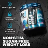 CLA + CARNITINE 50 SERVINGS