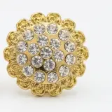 Broche  Salon Plastique  B03
