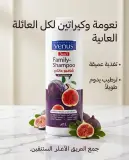 Venus شامبو عائلي بمستخلص التين 1ل