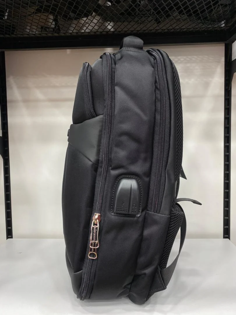 Sac à dos professionnel 15,6 pouces