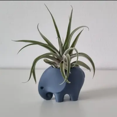 cache pot